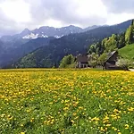 Erlebnis Bienenapartment Adamk Apartment Zell-Pfarre