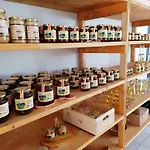 Erlebnis Bienenapartment Adamk Apartment *