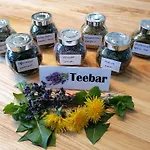 Erlebnis Bienenapartment Adamk * Zell-Pfarre