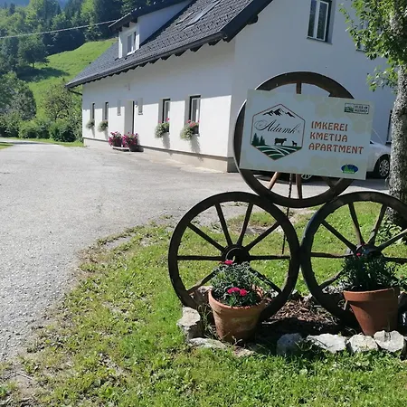 Erlebnis Bienenapartment Adamk Lägenhet Zell-Pfarre