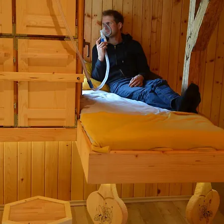 Erlebnis Bienenapartment Adamk