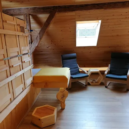 Erlebnis Bienenapartment Adamk Lägenhet Zell-Pfarre