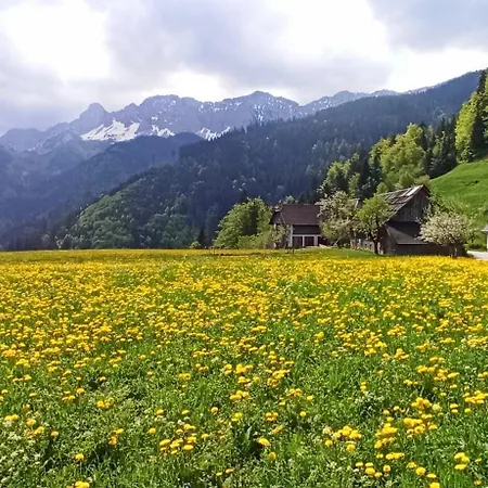 Erlebnis Bienenapartment Adamk Appartement Zell-Pfarre