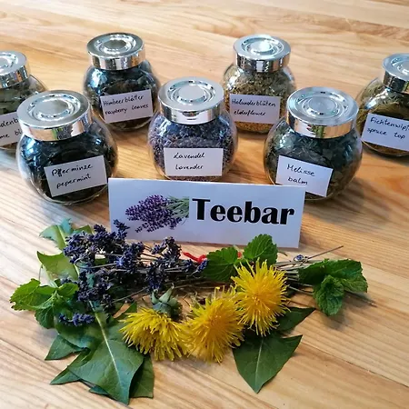 Erlebnis Bienenapartment Adamk * Zell-Pfarre