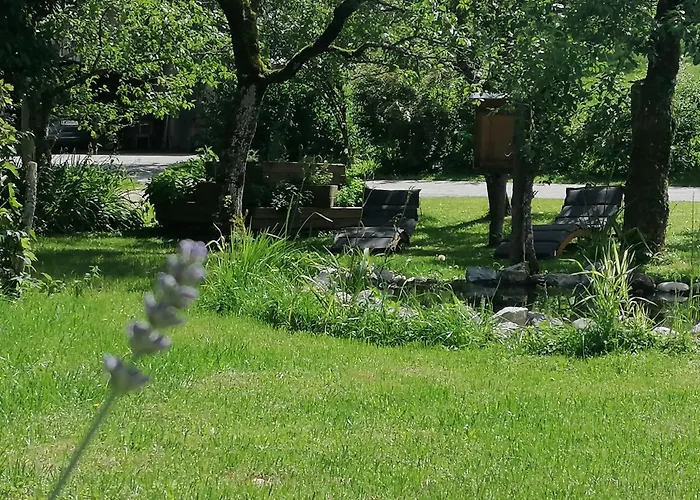 Erlebnis Bienenapartment Adamk Lägenhet