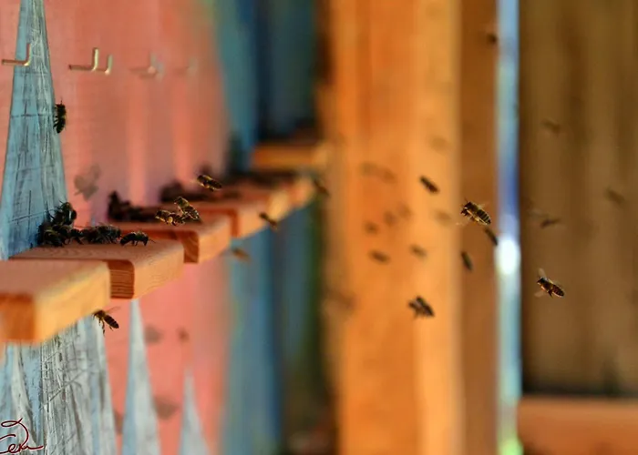 Lägenhet Erlebnis Bienenapartment Adamk