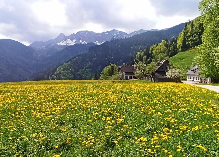 Erlebnis Bienenapartment Adamk Lägenhet Zell-Pfarre